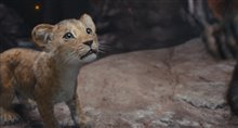 Mufasa: The Lion King - Photo Gallery