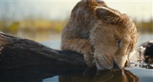 Mufasa: The Lion King - Photo Gallery