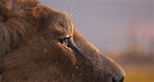 Mufasa: The Lion King - Photo Gallery