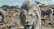 Mufasa: The Lion King - Photo Gallery