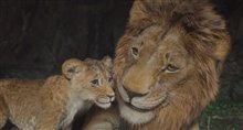 Mufasa: The Lion King - Photo Gallery
