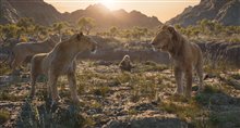 Mufasa: The Lion King - Photo Gallery