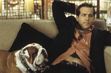 National Lampoon's Van Wilder - Photo Gallery