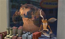 Open Season - Photo Gallery