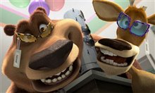 Open Season - Photo Gallery