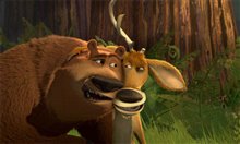 Open Season - Photo Gallery
