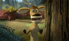 Open Season - Photo Gallery