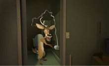Open Season - Photo Gallery