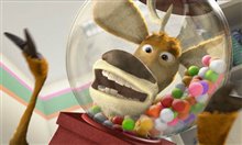 Open Season - Photo Gallery