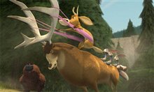 Open Season - Photo Gallery