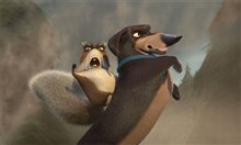 Open Season - Photo Gallery