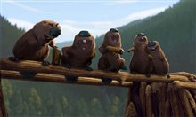 Open Season - Photo Gallery