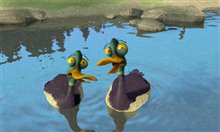 Open Season - Photo Gallery