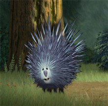 Open Season - Photo Gallery