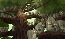 Open Season - Photo Gallery