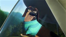 Open Season - Photo Gallery