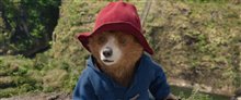 Paddington in Peru - Photo Gallery