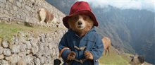 Paddington in Peru - Photo Gallery