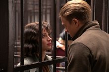 Papillon - Photo Gallery