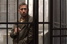 Papillon - Photo Gallery