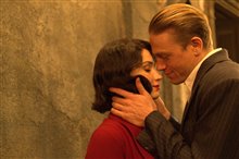 Papillon - Photo Gallery