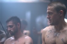 Papillon - Photo Gallery
