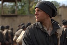 Papillon - Photo Gallery