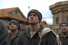 Papillon - Photo Gallery