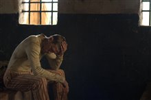 Papillon - Photo Gallery