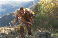 Papillon - Photo Gallery