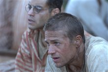 Papillon - Photo Gallery