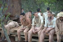 Papillon - Photo Gallery