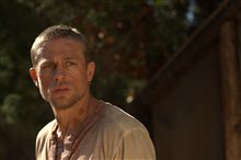 Papillon - Photo Gallery