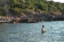 Papillon - Photo Gallery