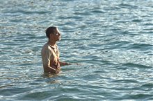 Papillon - Photo Gallery