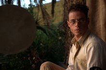 Papillon - Photo Gallery