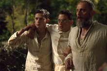 Papillon - Photo Gallery