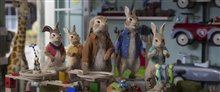 Peter Rabbit 2: The Runaway - Photo Gallery