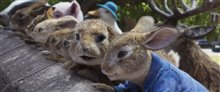 Peter Rabbit 2: The Runaway - Photo Gallery