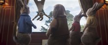 Peter Rabbit 2: The Runaway - Photo Gallery