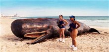 Reno 911!: Miami - Photo Gallery