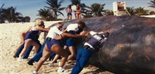 Reno 911!: Miami - Photo Gallery