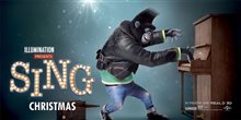 Sing - Photo Gallery