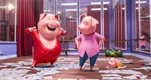 Sing - Photo Gallery