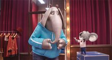 Sing - Photo Gallery