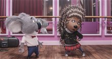 Sing - Photo Gallery