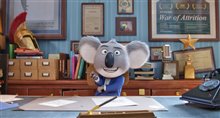 Sing - Photo Gallery