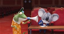 Sing - Photo Gallery