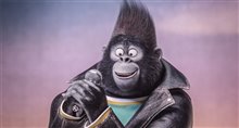 Sing - Photo Gallery