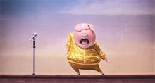 Sing - Photo Gallery